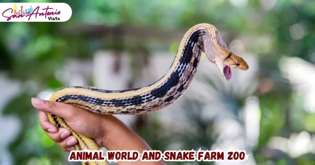 Animal World And Snake Farm Zoo