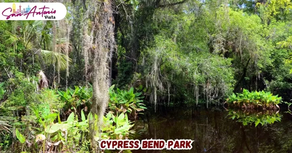 Cypress Bend Park