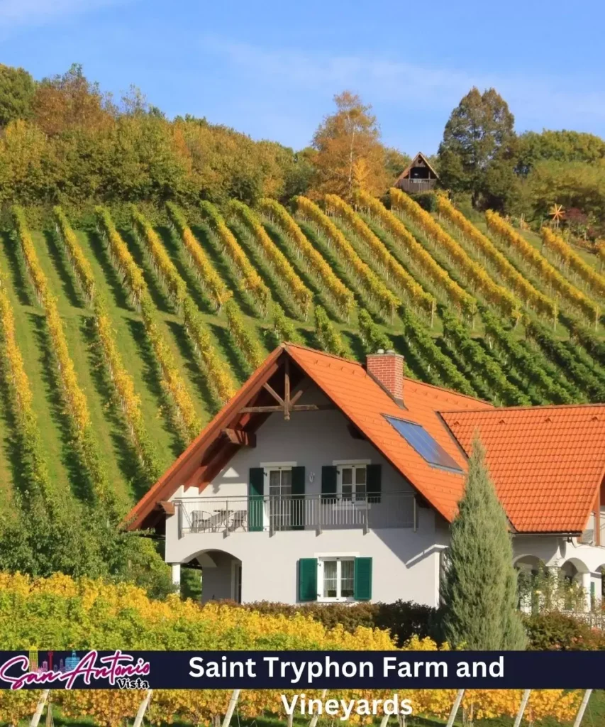 Saint Tryphon Farm and Vineyards