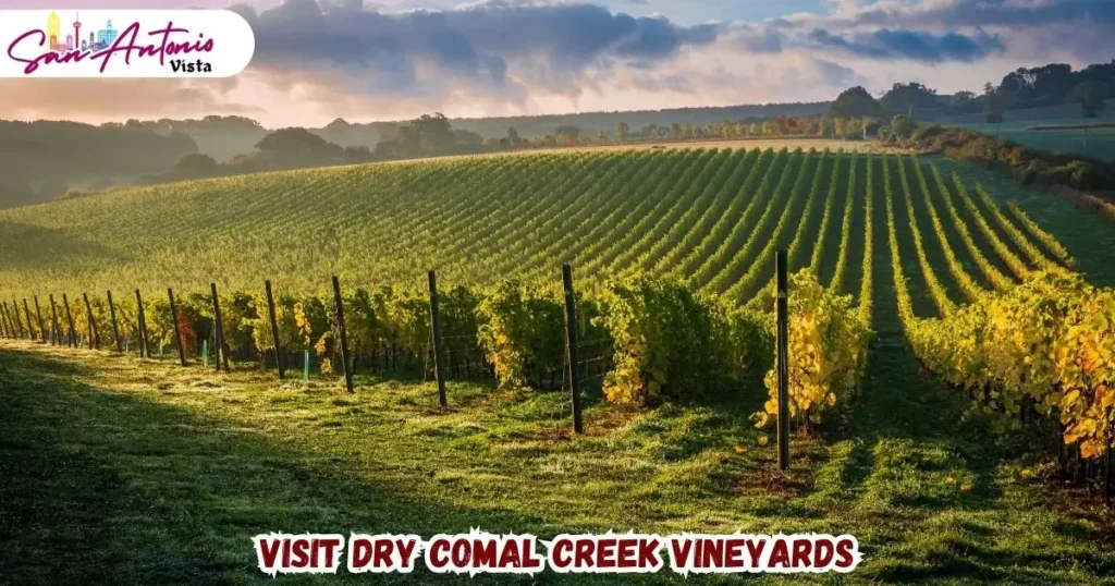 Visit Dry Comal Creek Vineyards